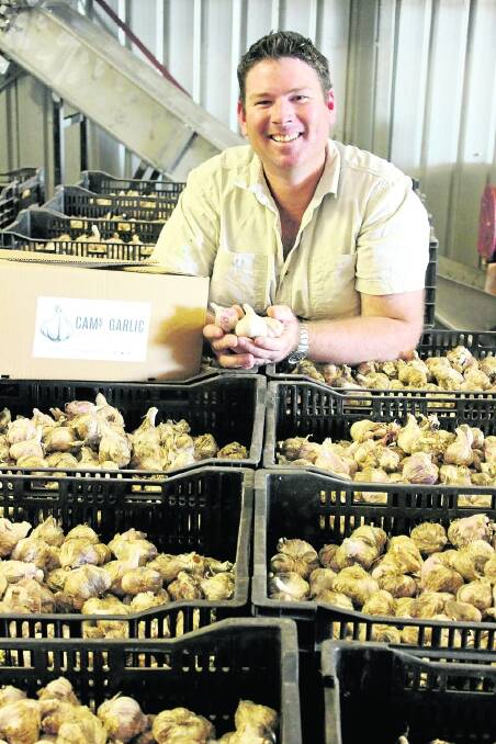 Former broadacre farmer Cameron Williams is building a successful garlic enterprise on his small farm at Neergabby, near Gingin.