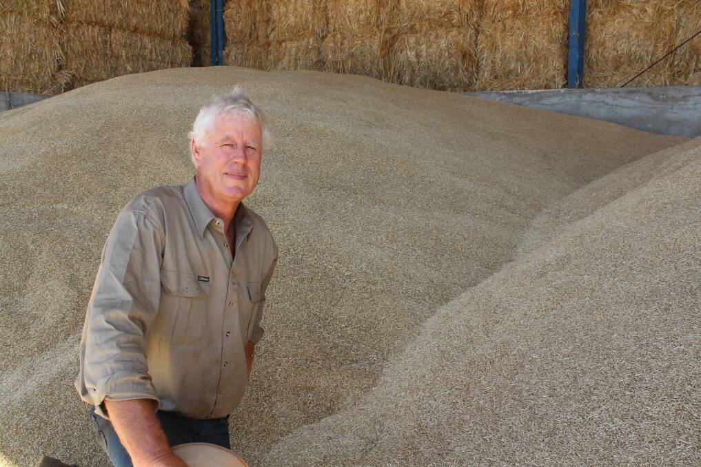 Tony Seabrook with the frosted barley grain that he has been unable to sell.