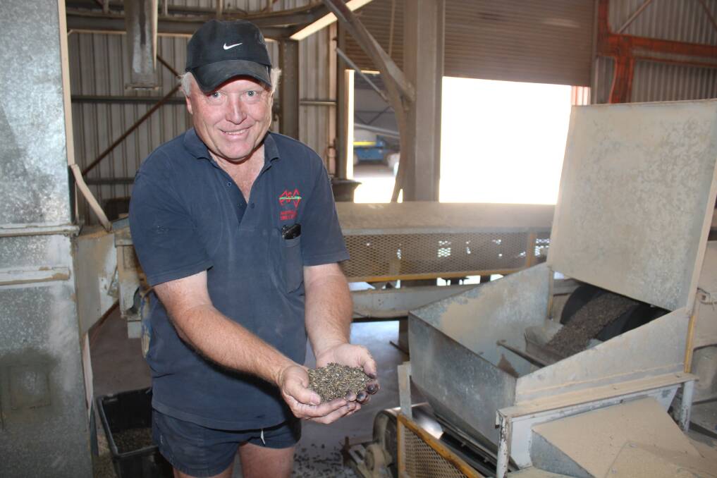 Chris Martin from Australian Seed & Grain with a batch of Dictator 2 feed barley.