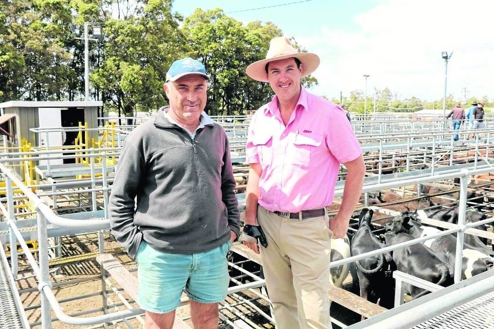 Peter Vellios (left), Manjimup, with Cameron Harris, Elders Manjimup, at the Manjimup sale. Peter bought a pair of heifers for $975 with Cameron taking the top Murray Grey bull weighing 1180kg for $2336.