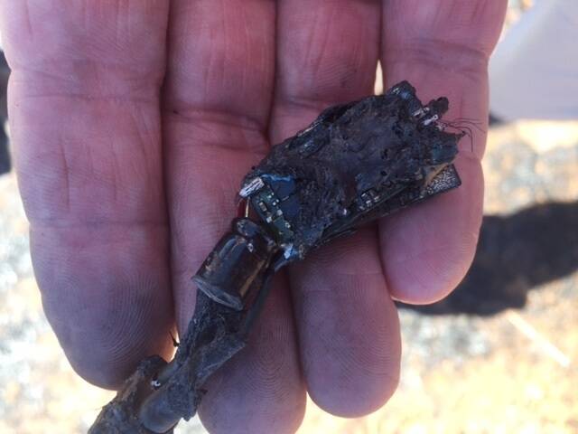 A printed circuit and wiring recovered from a paddock where a crashed drone started a stubble fire on Bob Harridge's Cooinda Park property, Mogumber. Elders Moora insurance agent David Stribley took this photo.