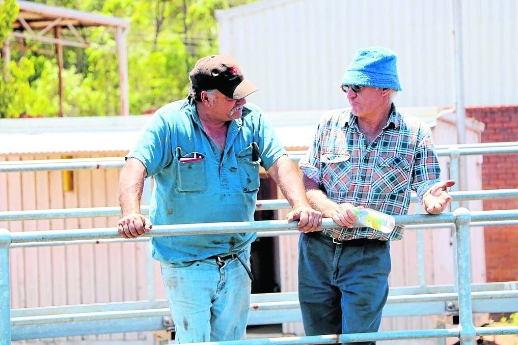Manjimup producers Jim Bogoias (left) and Bob Pessotto, were both at last week&#39;s combined Elders-Primaries weaner sale. The Pessotto family sold steers to $1286 while Mr Bogoias bought two pens of heifers, paying to $1174 and the sale top of 362c/kg.