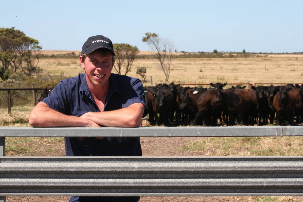 Young beef producer Ryan Willing, East Condingup, is building a successful enterprise on the back of the Angus herd he is developing.