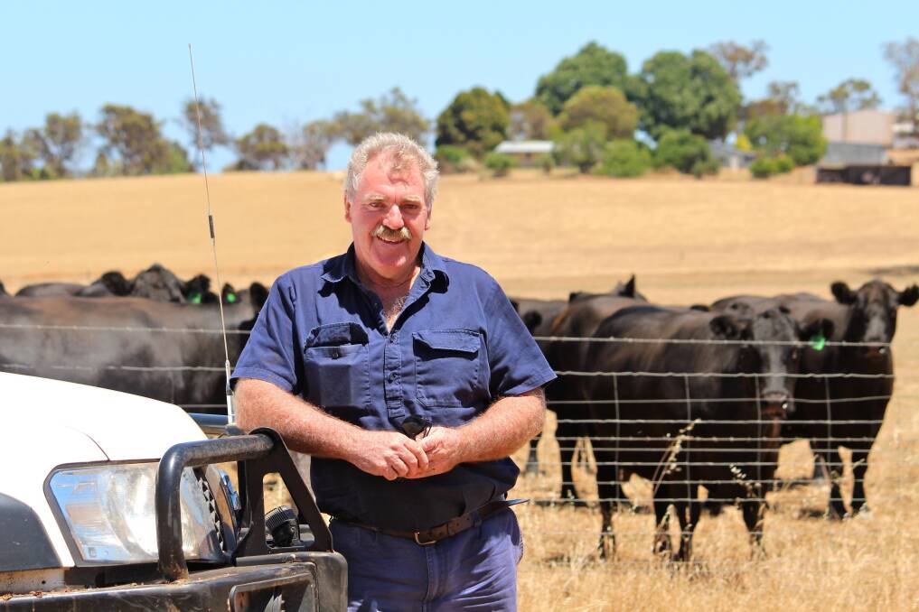 Astute beef farmer Wally Holland, Boyup Brook, pictured with some of his young, productive Angus females.