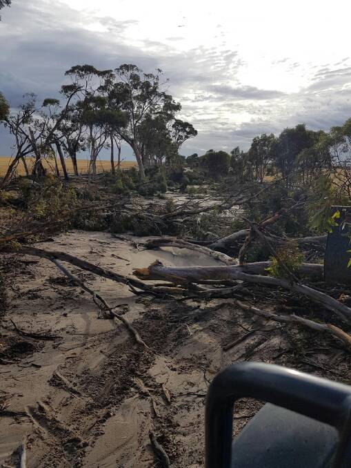 Trees down and fences were washed away at Quentin Davies' Yorkrakine property.