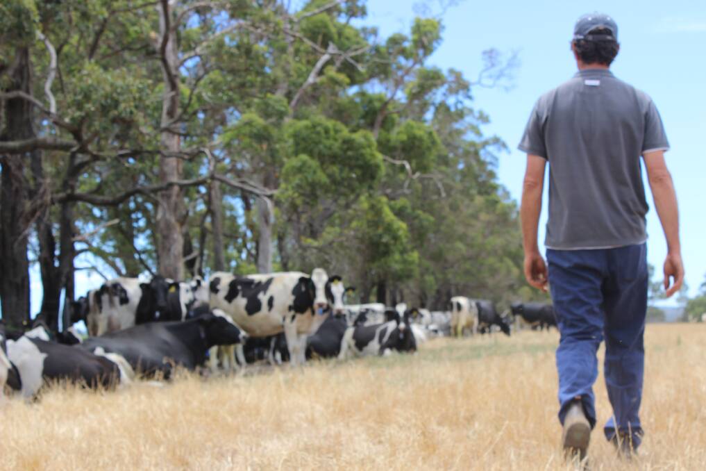 Submission against new dairy levy poll