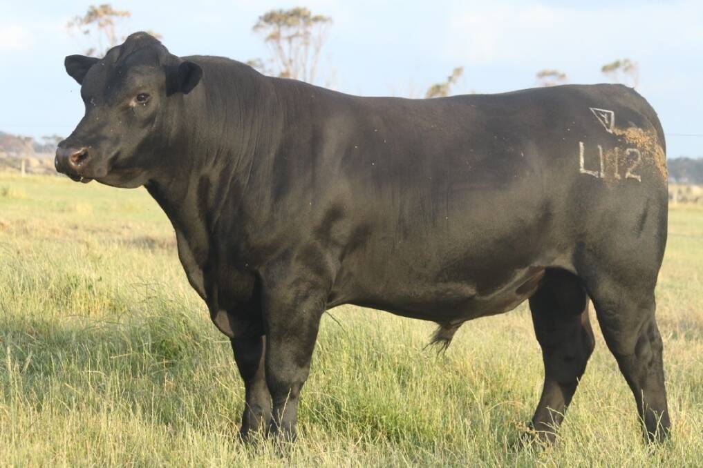 The $15,500 top-priced bull at this year's sale, Lawsons Legend L112, has been used as a stud sire at Lawsons Angus and is ranked in the top one per cent of the breed for all Angus indexes.