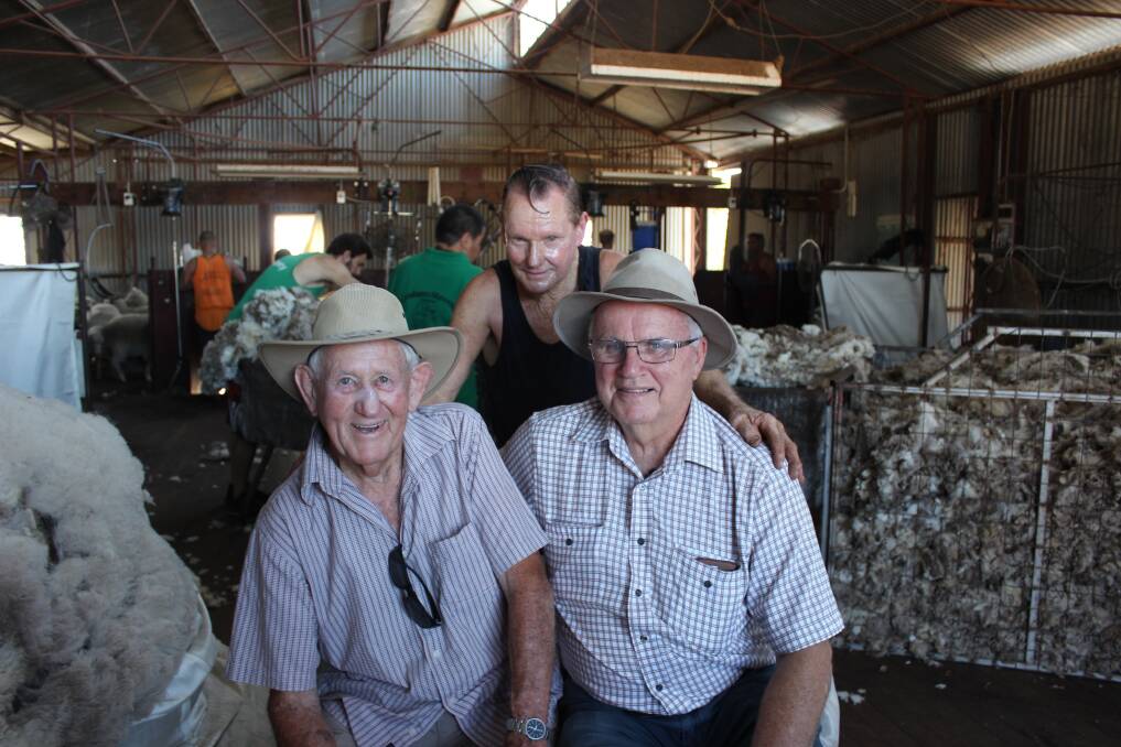Retired shearers Kevin Plunkett (left) and David Sears, catch up briefly with Peter Meeres presing for ones of Graham Steven's shearing teams in a woolshed near Brookton while a documentary on shearers who went north to the Gascoyne, Pilbara and Kimberley is filmed. All three rode the trucks north at various times.
