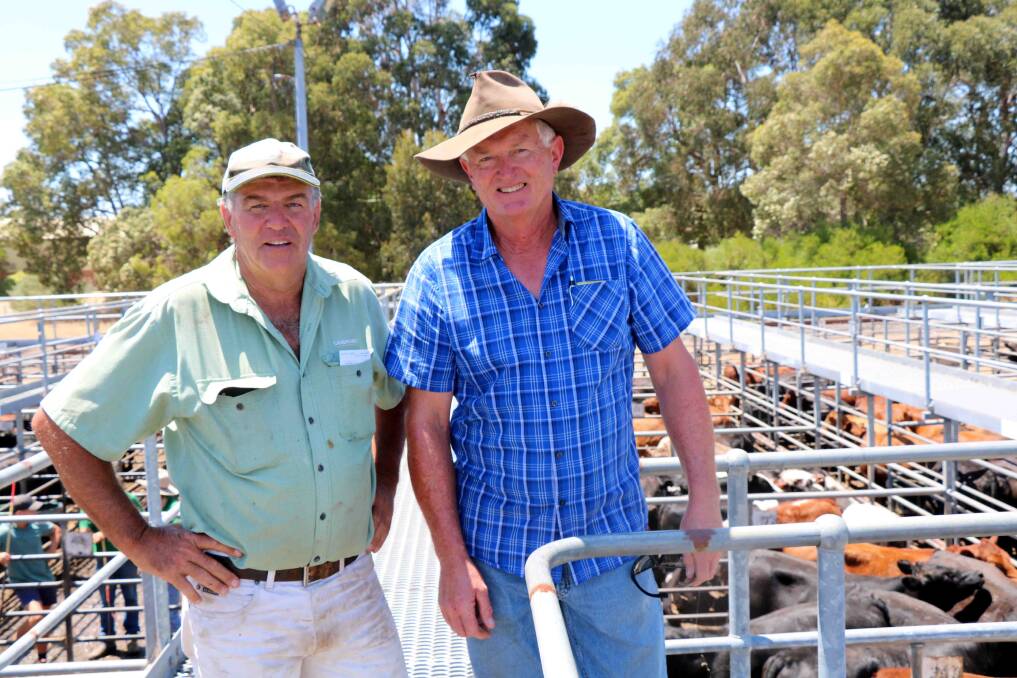 Landmark Brunswick agent Errol Gardiner (left) with Allan Rice, Minga Flats, Cookernup, who sold mated heifers for $2200, which were bought by Mr Gardiner.