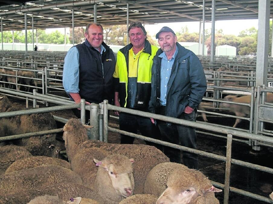Primaries Kojonup agent Geoff Daw (left), looks over the $151 second top-priced line in sale offered by his clients DG &amp; KL Maddams with buyer Rob Simmons and Primaries York agent Lynton Saunders.