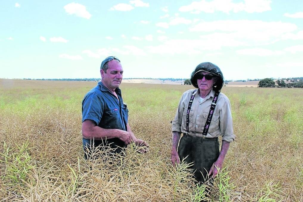 Carl Moltoni (left), Yathroo and his father Andrea inspecting a canola crop before harvest last year. 