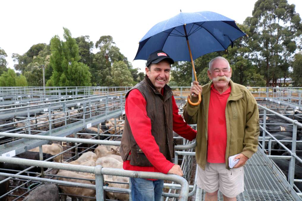 Elders Margaret River agent and sale auctioneer Alex Williams (left) checked out the Murray Grey cattle John Burridge trucked in from Beverley to the sale. A pen of 10 sold to $1219.