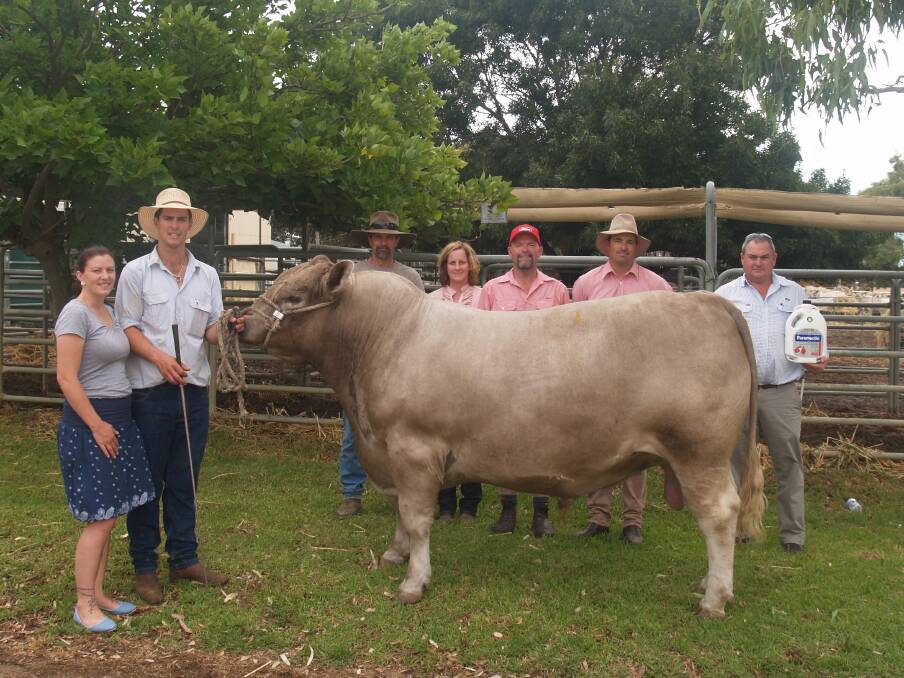 With the $17,500 top priced bull were Southend stud principals Amy and Kurt Wise, buyers Rob Bass and Kerry Pinch, Elders Katanning manager Mark Stephens and Elders agent Clarke Skinner and Jurox state territory manager Stephen Cook.