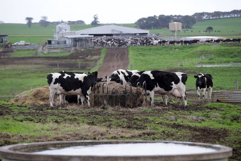 Farmers seek sustainable dairy future