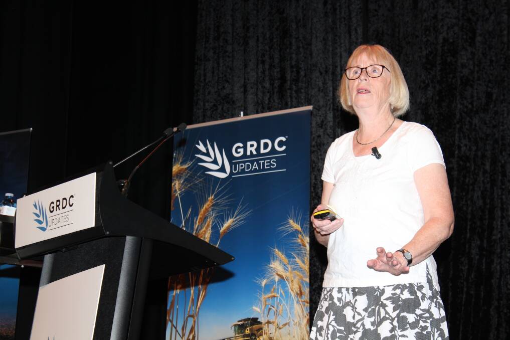 Fungal disease researcher Lise Jorgensen speaking at the GRDC research update on fungicide resistance.
