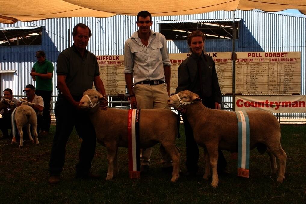 Goldenover stud principal Ray Batt, (left), Narrogin, was delighted when judge Braden Lange awarded the Ile de France champion and reserve champion sashes to two of his finest rams, the second of which is held by Western Australian College of Agriculture, Narrogin, student Zoe Dawson.