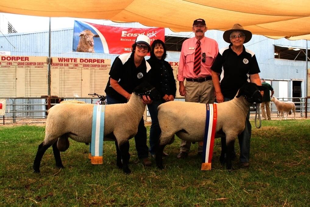 With the champion and reserve champion Suffolk rams exhibited by the Pamellen stud, Clackline, were stud co-principal Suellyn Boucher (left), judge Sandy Forbes, Napier, Elders Wagin livestock representative Gordon Smith and Pamellen co-principal Pam Hinkley.