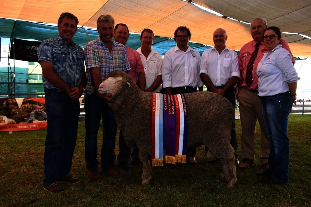 The 2017 Make Smoking History Wagin Woolorama supreme Merino exhibit was awarded to the Patterson families Woolkabin stud, Woodanilling. With Woolkabin&#39;s supreme exhibit, grand champion Poll Merino ram and champion medium wool Poll Merino ram were Woolkabin stud principals Chris (left) and Eric Patterson, Russell McKay, Elders stud stock, judges Daniel Gooding, East Mundalla stud, Tarin Roc