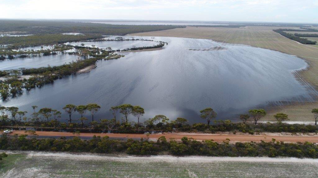 Landholders with areas that are susceptible to waterlogging due to recent rainfall (like this property near Lake King) have been warned to take action to mitigate the short and long-term affects of salinity.