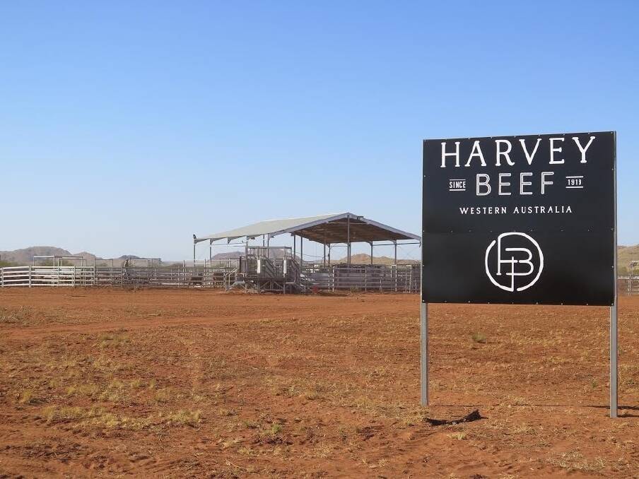 Harvey Beef will supply an exclusive new beef range providing consumers with access to free range beef