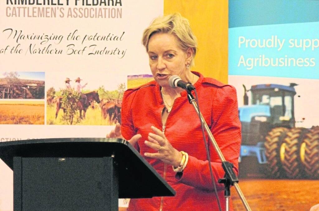 New Agriculture and Food Minister Alannah MacTiernan addressing the Kimberley Pilbara Cattlemen&#39;s Association last week.