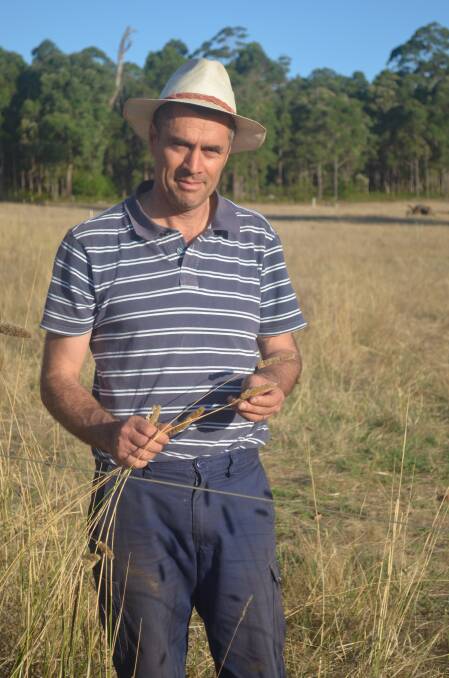Kim Skoss has concluded a three-year perennial pasture trial on his Manjimup property.