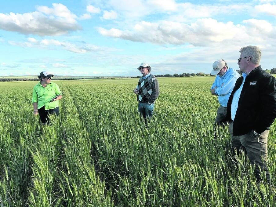 Mingenew Irwin Group field walk at the tillage options trial site.