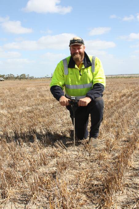 Kojaneerup farmer Josh Goad checks the penetrometer’s reading at a depth of 70cm (28in) from a Heliripper trial compared to a shallow rip (right), where penetration stopped at 25cm (10in). Other treatments included ripping to 120cm (48in) and control plots with no ripping. With soil constraints an issue on the South Coast, more focus is being paid to deep ripping and ameliorating soil. Roots follo