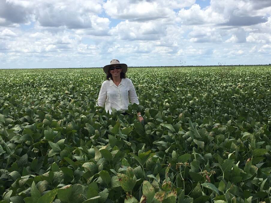 Kalyn Fletcher travelled to Brazil in January to explore tropical agricultural techniques and how to adapt them in northern WA.