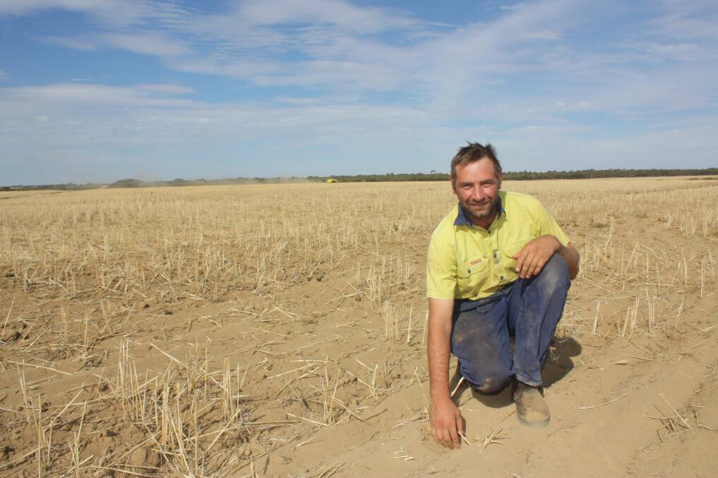  Boyd Carter started sowing lupins on his Wubin property on Friday, April 7.
