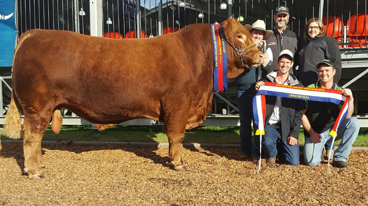 Morrisvale Kept Secret, senior and grand champion Limousin bull in a feature breed showing of almost 260 head at the 2017 Sydney Royal Easter Show sold privately for $20,000. Holding the bull was Morrisvale stud co-principal Casey Morris, Narrikup, with buyers David and Alison Galpin and their son Mason and James Morris, Morrisvale (front right).