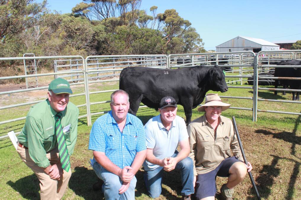 The Coonambe Angus stud, Bremer Bay, sold the season's top-priced bull at its on-property sale when this bull sold in a 50-50 partnership for $26,000 to the Toovey family, trading as LT Toovey & Sons, Cranbrook and the Bairstow family, trading as Arizona Farms, Lake Grace. With the bull are Landmark southern livestock manager Bob Pumphrey (left), buyers Andrew Toovey, Cranbrook and Noel Bairstow, 