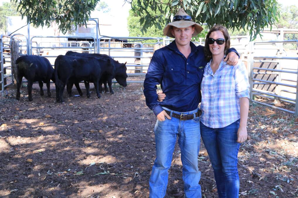 This year top honours in the Gingin Heifer Competition went to first-time entrant Tim Croot, Koorian, who scored impressively to win the commercial section, when his pen of four Angus heifers scored 92 points out of a possible 100. Pictured with the winning pen were Dan and Amy Devantier, Koorian.