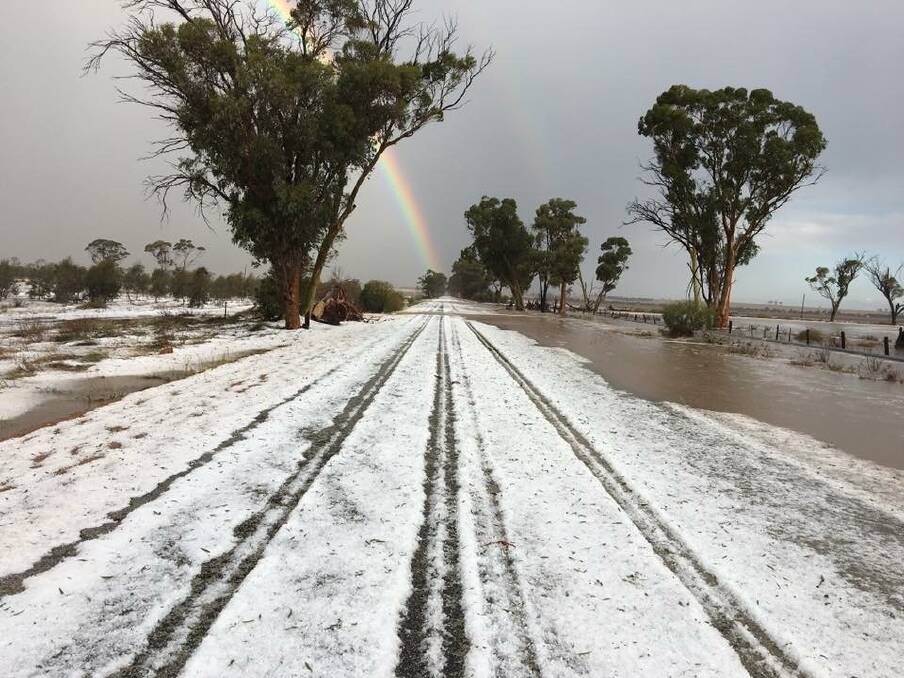  Hail fell steadily for half an hour on the Wilson's Quairading property 10 days ago, leaving a thick blanket on surrounding roads.