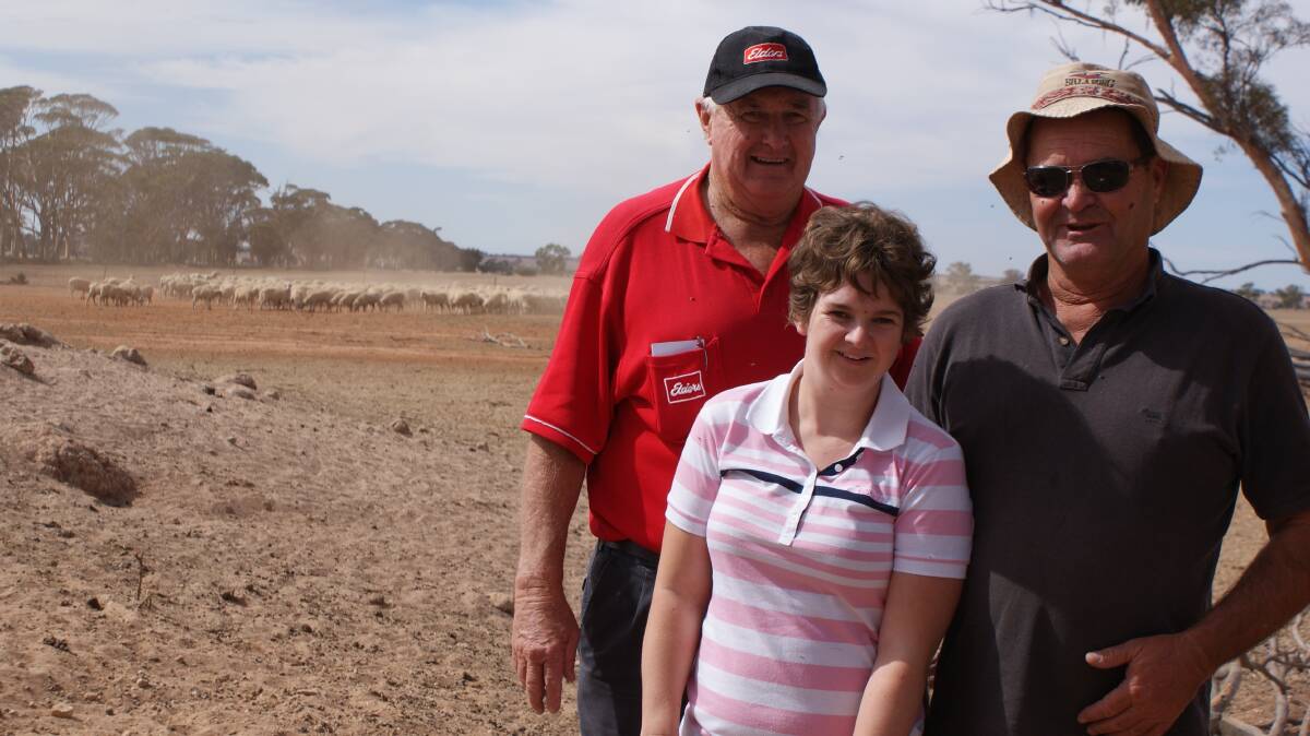  Elders Wyalkatchem district wool manager Russell Wood (left), Steve Gamble and daughter Sasha, Gamble & Co, Wyalkatchem, with some of the operation's Dohnes last week. The operation was WAMMCO's Producer of the Month title for March, 2017.