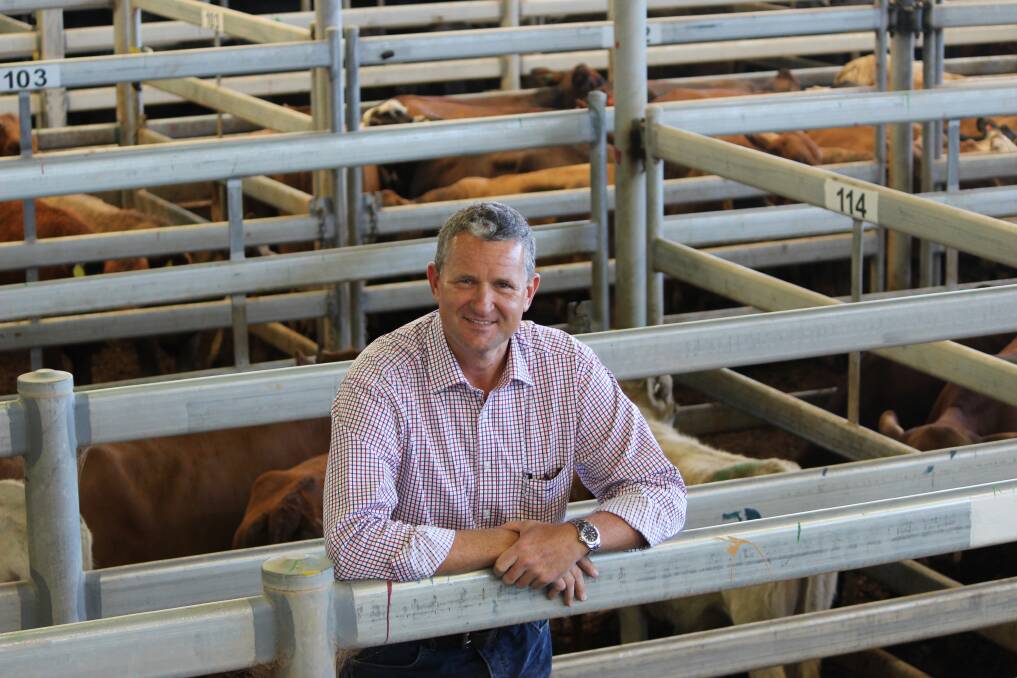 WAMIA chief executive Andrew Williams says a review on how to replace the Boyanup saleyard, due to close in 2022, will go ahead.