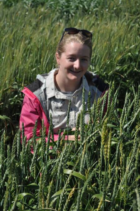 UWA PhD student Bonny Stutsel advises growers to space temperature monitors where there are notable changes in elevation across a paddock.