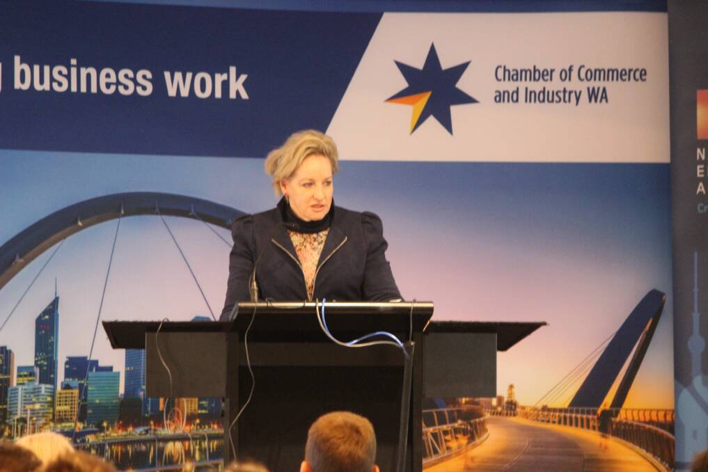 Keynote speaker, Regional Development and Agriculture and Food Minister Alannah MacTiernan, encourages industry to take action at the Chamber of Commerce and Industry of WA (CCIWA), Industry Cluster Summit