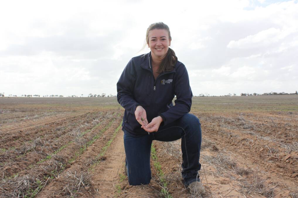 Veronika Crouch has been working as executive officer of the Corrigin Farm Improvement Group for two and a half years.