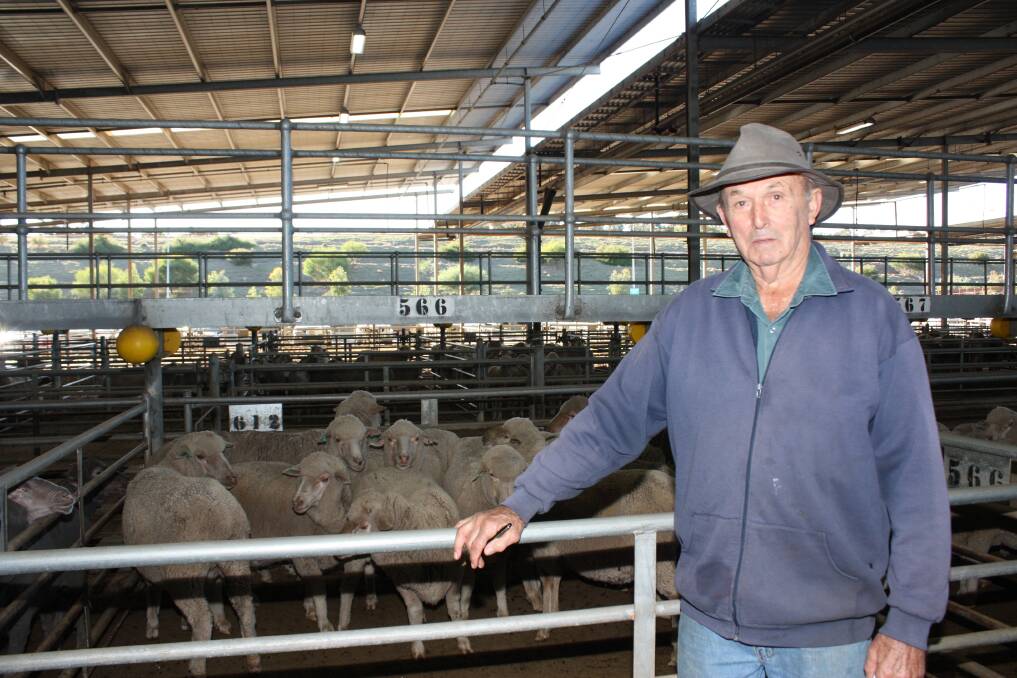 MILING farmer Des Seymour had 170 Merinos up for sale at the Muchea Livestock Centre on Tuesday. He said the lack of rain had forced them to sell approximately 900 sheep so far this season, after shearing 4500 in summer. 