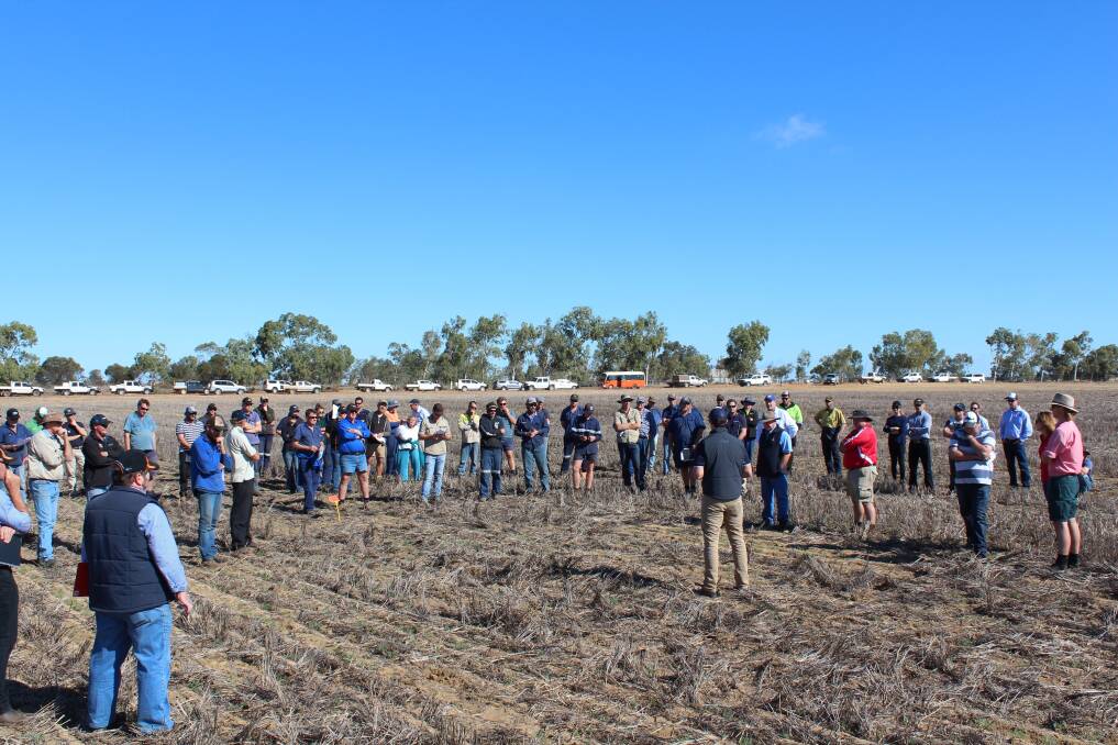 More than 60 growers and industry members attended the YFIG post seeding walk.