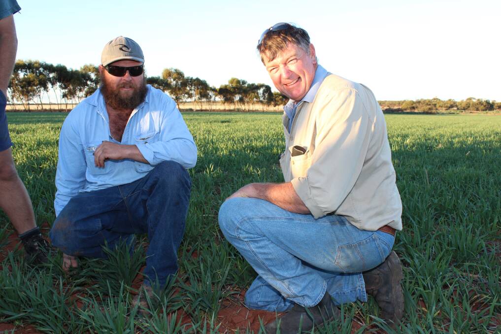  Craig Mincherton (left) and Marshall Gould inspect the long season Forrest wheat crop on Kim and Jason Batten's farm at Yuna.