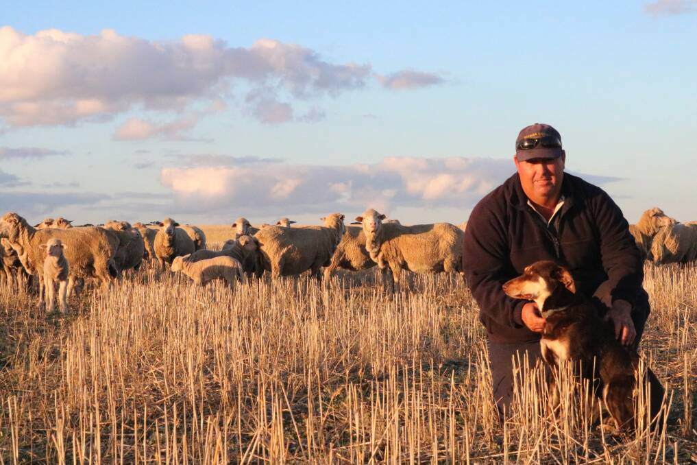  Babakin farmer Rohan Crombie has spent the past few years trying to improve his pastures to boost the quality and quantity of feed, adding to the condition of his Merino and Suffolk flocks.