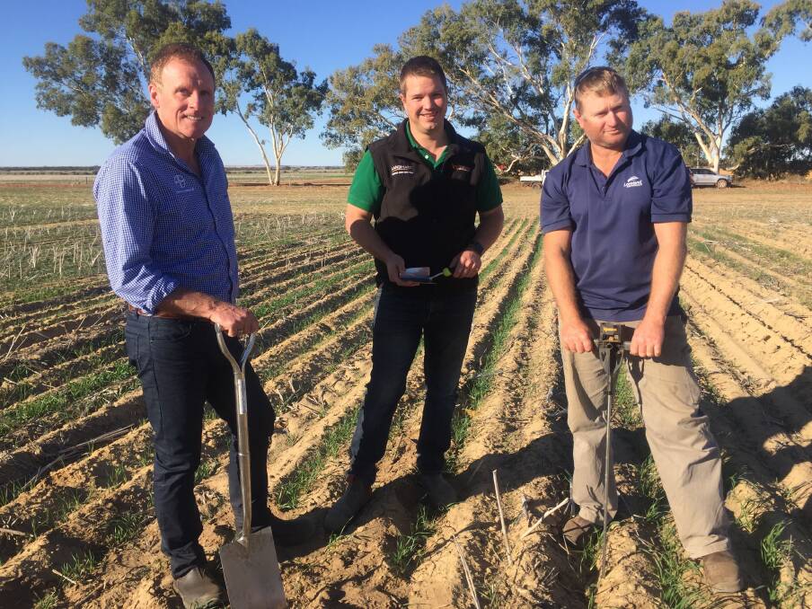 Bayer commercial sales representative Ian Cook (left), Clayton Dennis, Landmark Three Springs and local grower Chad Eva pictured assessing soil moisture and compaction on the Eva's Timuka property recently.