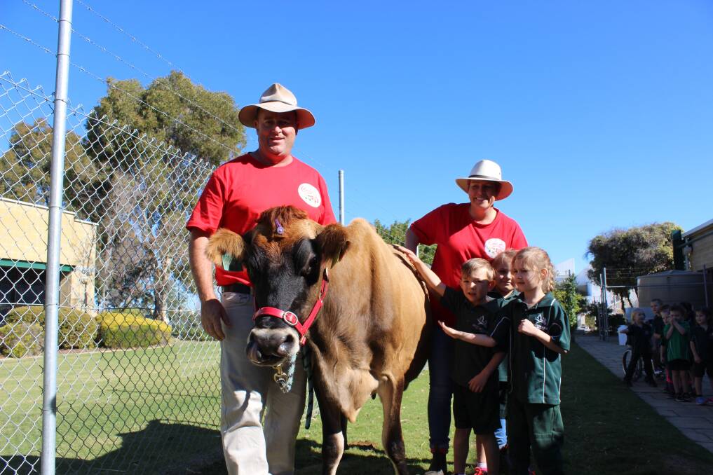 Farmer Damian, alias Damian Foley, and partner Jo Granby hold Jersey the cow so Phoenix, Shayleah and Lara from Huntingdale Primary School can pat her during a Brownes Dairy school tour.