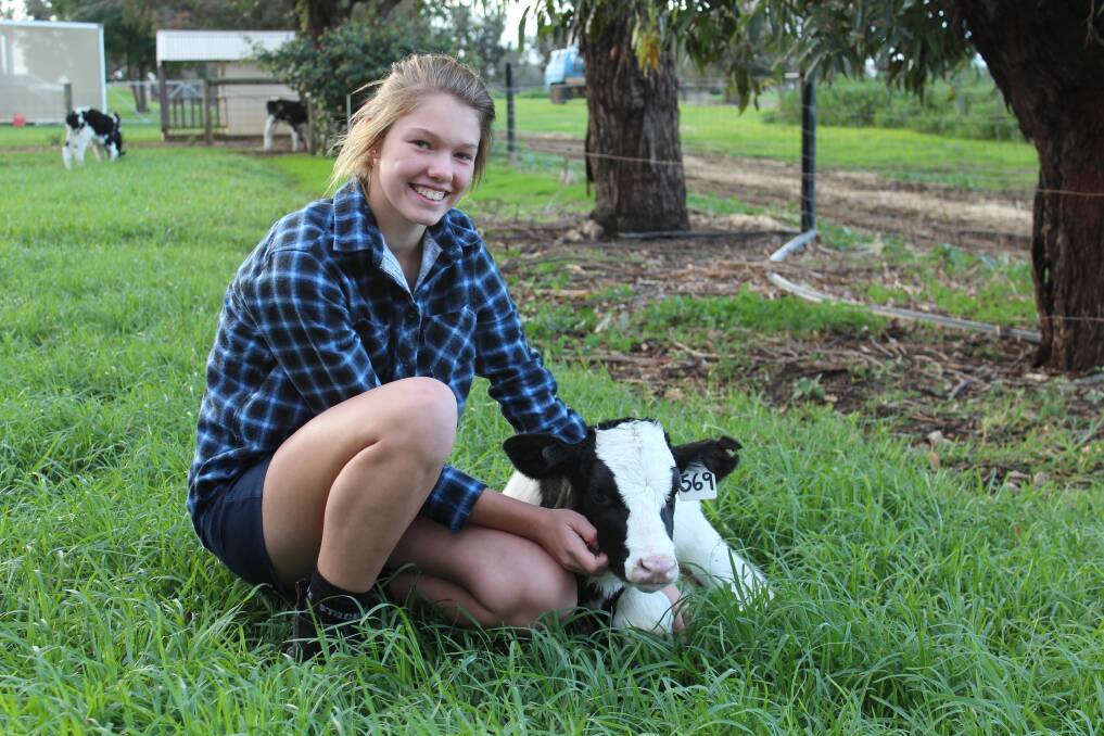 Young Harvey farmer Laura Piggott is passionate about the dairy industry and wants to continue the family tradition of being a dairy farmer.