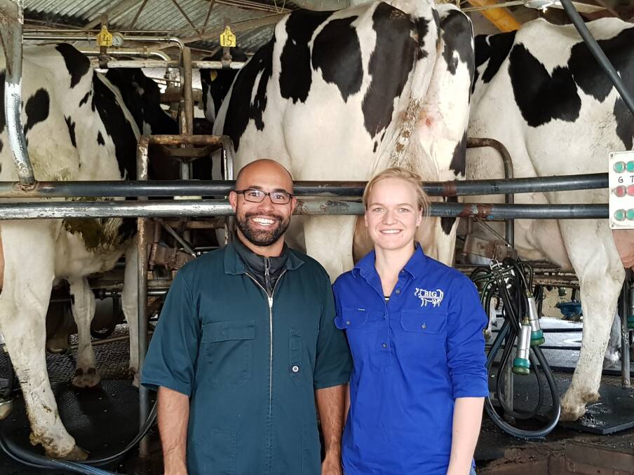 Murdoch bovine health and management lecturer Herb Rovay and Murdoch veterinary science student and researcher Liz Cork at the Anfuso dairy in Oldbury as part of a project aiming to improve early detection of mastitis.