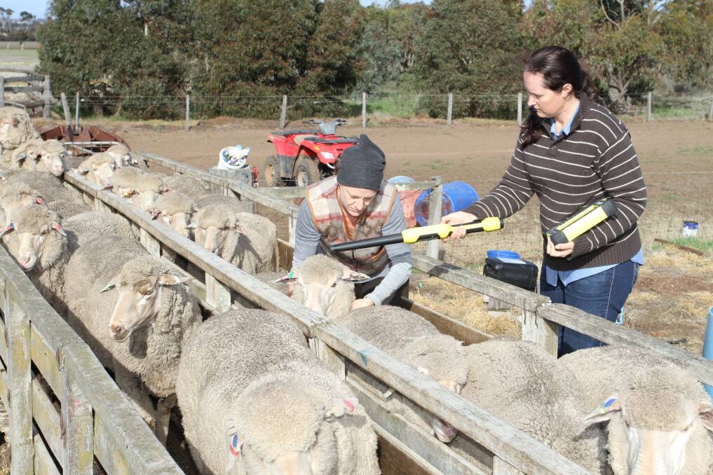  DPIRD livestock research officer Beth Paganoni (left) and Department of Primary Industry and Regional Development livestock technical officer Claire Macleay at Collyn and Tanya Garnett’s Gnowerangerup property.