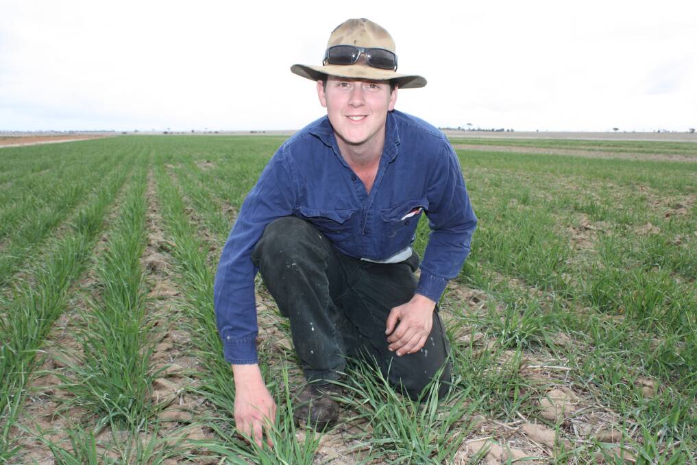 Bruce Rock grower Josh Fuchsbichler in one of his earlier sown Scope barley crops. Josh said germination had been patchy across the board with just 70 millimetres of rain since April, however he hoped good rain soon would make big improvements.