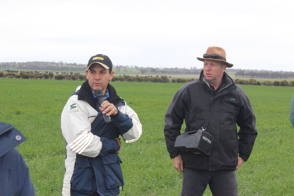 Shackleton's Toolangi Park farmer Todd Anderson (left) with Evergreen Farming executive officer Phil Barrett-Lennard discussing the benefits of Barley Scope for livestock feed.